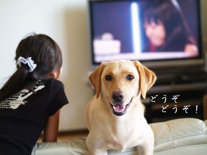 母ちゃんちの晩御飯とどたばた日記