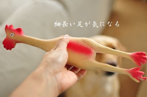 井上かなえオフィシャルブログ　「母ちゃんちの晩御飯とどたばた日記」Powered by Ameba