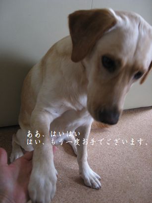 おいしいもの
