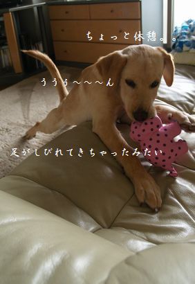 ソファーで
