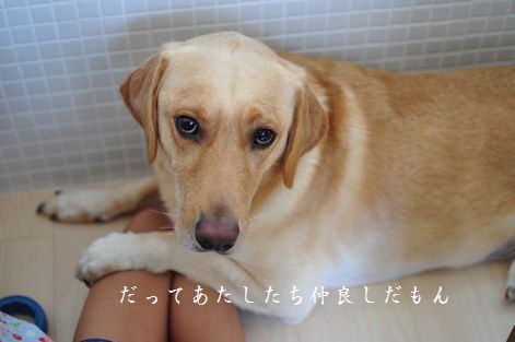 井上かなえオフィシャルブログ　「母ちゃんちの晩御飯とどたばた日記」Powered by Ameba