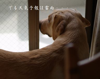 母ちゃんちの晩御飯とどたばた日記