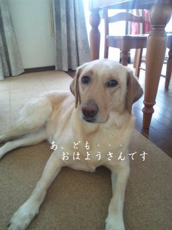 母ちゃんちの晩御飯とどたばた日記