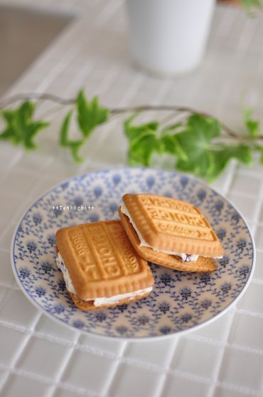 母ちゃんちの晩御飯とどたばた日記