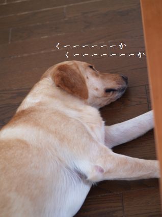 母ちゃんちの晩御飯とどたばた日記