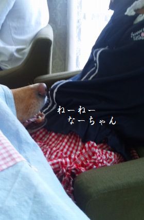 井上かなえオフィシャルブログ 「母ちゃんちの晩御飯とどたばた日記」Powered by Ameba