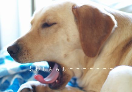 眠い眠い