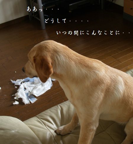 怪しい顔