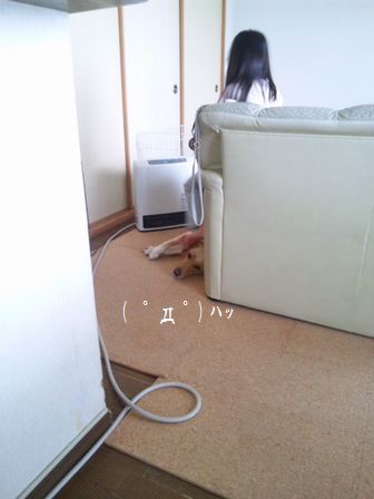 母ちゃんちの晩御飯とどたばた日記