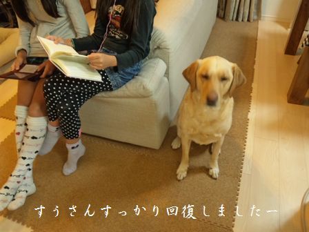 井上かなえオフィシャルブログ　「母ちゃんちの晩御飯とどたばた日記」Powered by Ameba