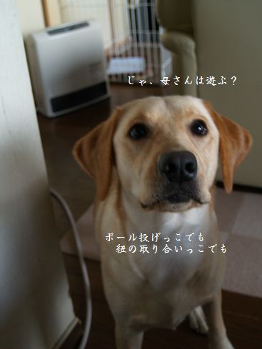 あそぼっ