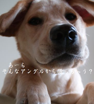 下アングル
