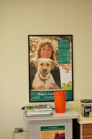 母ちゃんちの晩御飯とどたばた日記