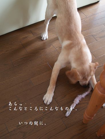 お誘いに来ました