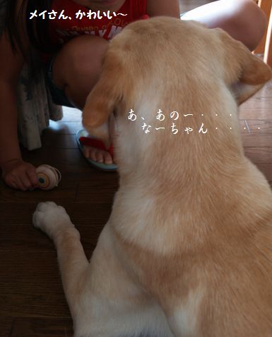 母ちゃんちの晩御飯とどたばた日記-P7124433