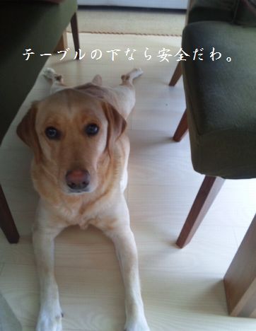 井上かなえオフィシャルブログ　「母ちゃんちの晩御飯とどたばた日記」Powered by Ameba