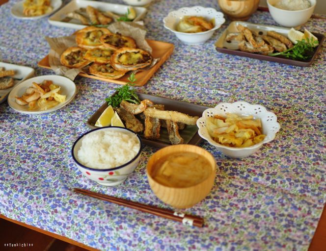 母ちゃんちの晩御飯とどたばた日記