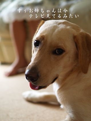 母ちゃんちの晩御飯とどたばた日記