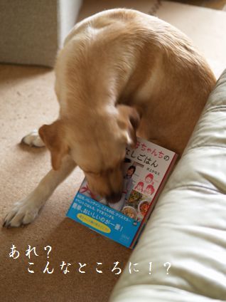 母ちゃんちの晩御飯とどたばた日記