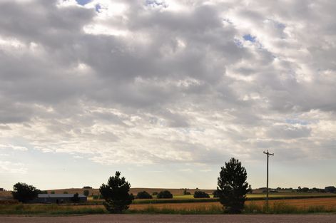 母ちゃんちの晩御飯とどたばた日記
