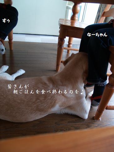 何故にそこ?