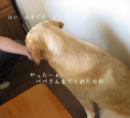 母ちゃんちの晩御飯とどたばた日記-パパ