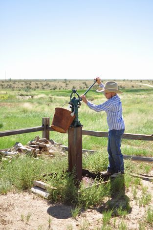 母ちゃんちの晩御飯とどたばた日記