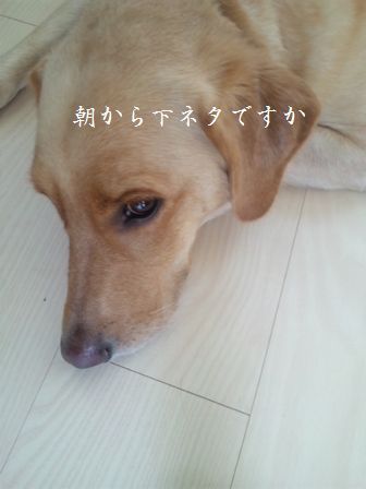 井上かなえオフィシャルブログ　「母ちゃんちの晩御飯とどたばた日記」Powered by Ameba