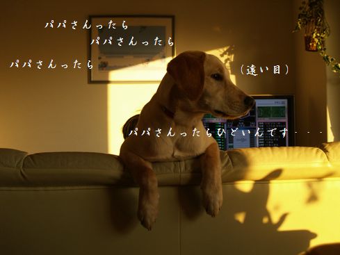 メイとオット