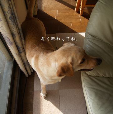 掃除機