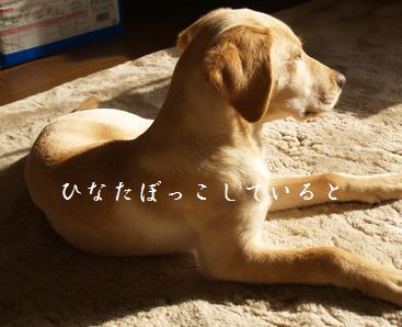 ぼーーーーーーーーっ・・・