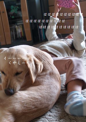 すぅとメイ