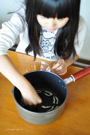 母ちゃんちの晩御飯とどたばた日記