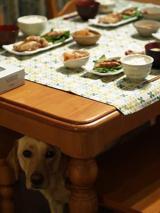 母ちゃんちの晩御飯とどたばた日記