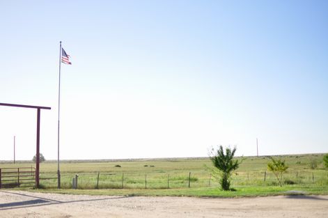 母ちゃんちの晩御飯とどたばた日記