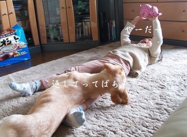 すぅとメイ