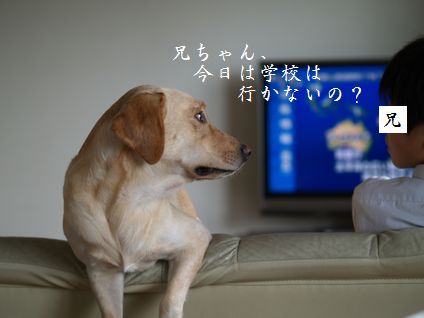 母ちゃんちの晩御飯とどたばた日記