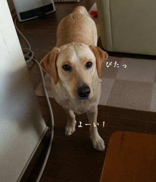 細いところで