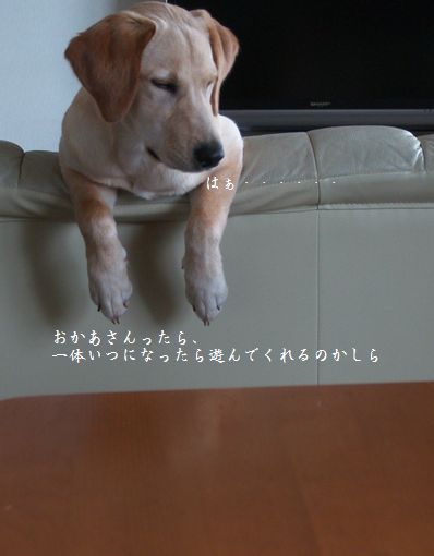もとの撮影位置に戻ると・・・