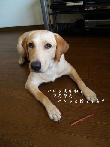 母ちゃんちの晩御飯とどたばた日記-P7174598