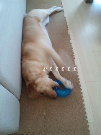 井上かなえオフィシャルブログ　「母ちゃんちの晩御飯とどたばた日記」Powered by Ameba