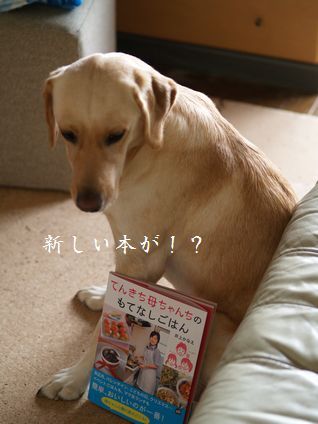 母ちゃんちの晩御飯とどたばた日記