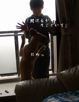 追いかけごっこ