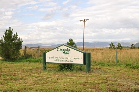 母ちゃんちの晩御飯とどたばた日記
