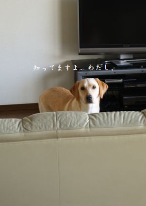 メイさん