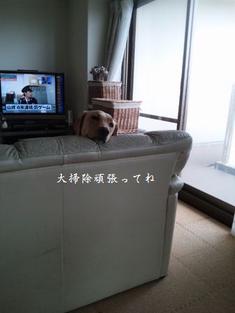 母ちゃんちの晩御飯とどたばた日記