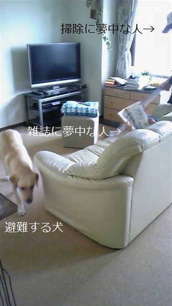 母ちゃんちの晩御飯とどたばた日記-掃除機