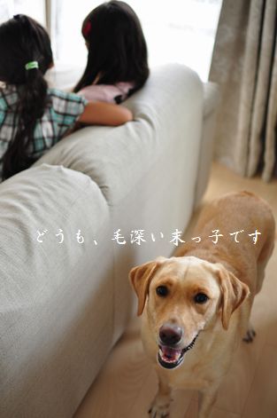 井上かなえオフィシャルブログ　「母ちゃんちの晩御飯とどたばた日記」Powered by Ameba