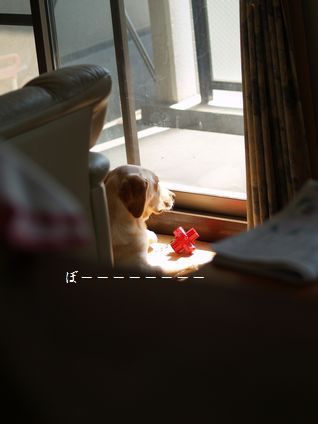 母ちゃんちの晩御飯とどたばた日記