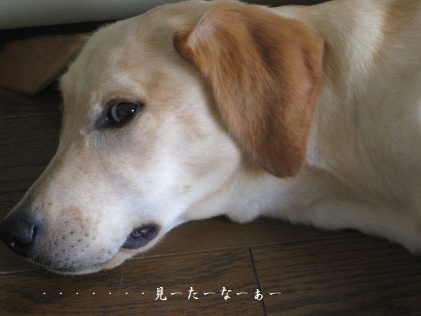 じろっ